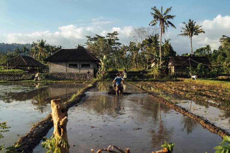 Sidemen, Bali: Discover the Bali of 15 Years Ago